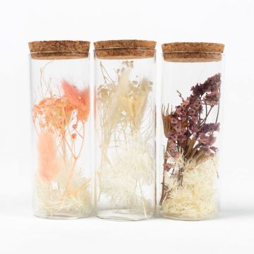 Sada sušených květin ve skle FELICITY, 3 kusy, růžovo-fialovo-bílá, 12,5cm, Ø4,5cm