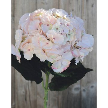 Textilní květinová hortenzie ANGELINA, bledě růžová, 70cm, 23cm