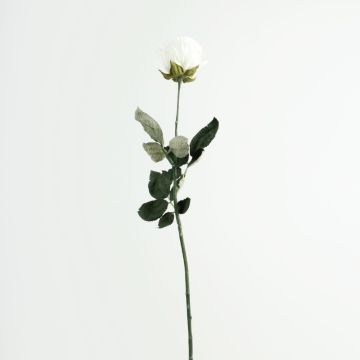 Umělá růže FREIDA, Eco Collection, bílo-fialová, 65cm, Ø7cm