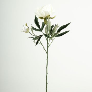 Umělá květinová větev pivoňky GALENE, Eco Collection, bílo-fialová, 65cm, Ø10cm