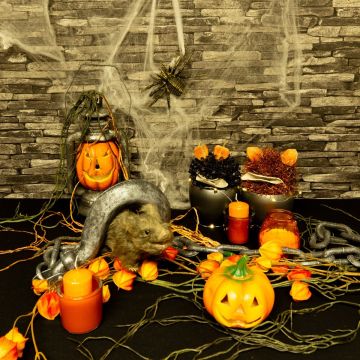 Halloween - Strašidelné dýně