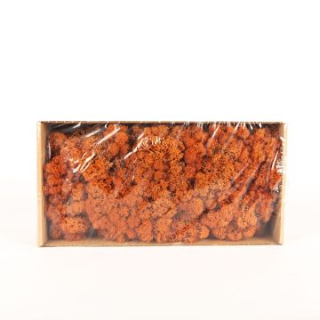 Pravý islandský mech SVEINBJÖRN, mango, 500 g