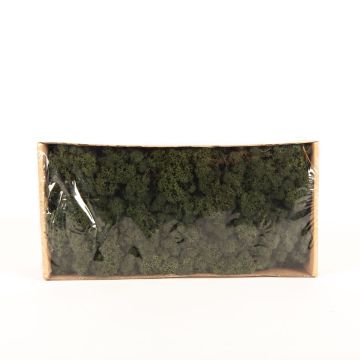 Pravý islandský mech SVEINBJÖRN, jedlově zelený, 500 g