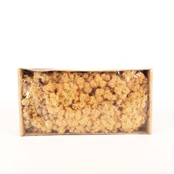 Pravý islandský mech SVEINBJÖRN, broskvový, 500g