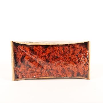 Pravý islandský mech SVEINBJÖRN, sienna, 500g
