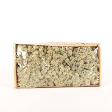 Pravý islandský mech SVEINBJÖRN, šedý, 500 g