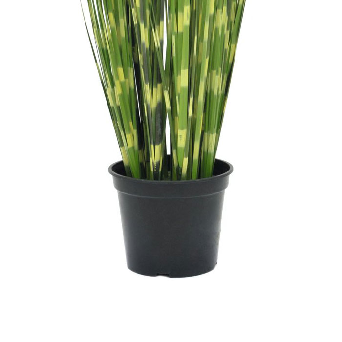 Ve vnitřn&iacute; květin&aacute;či