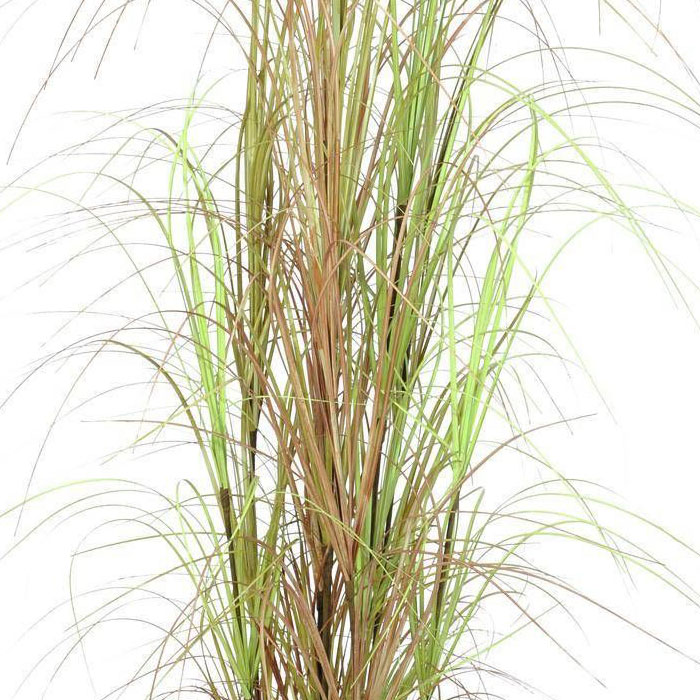 pestrobarevn&eacute; 