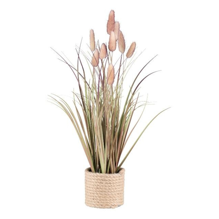 Zaječ&iacute; oc&aacute;sek vejčit&yacute; 