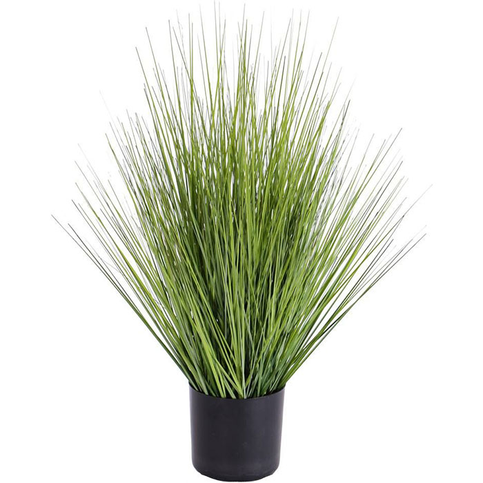 Proso prutnat&eacute;