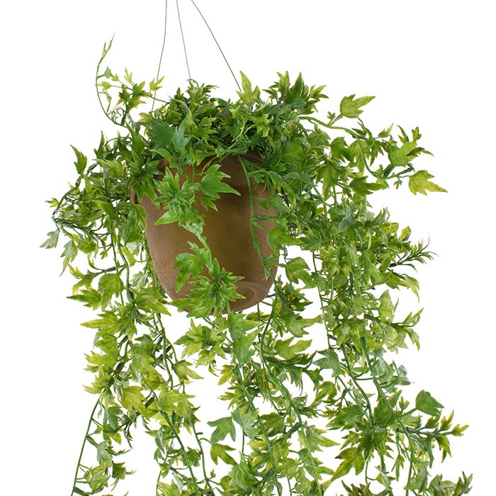 zavě&scaron;en&iacute;