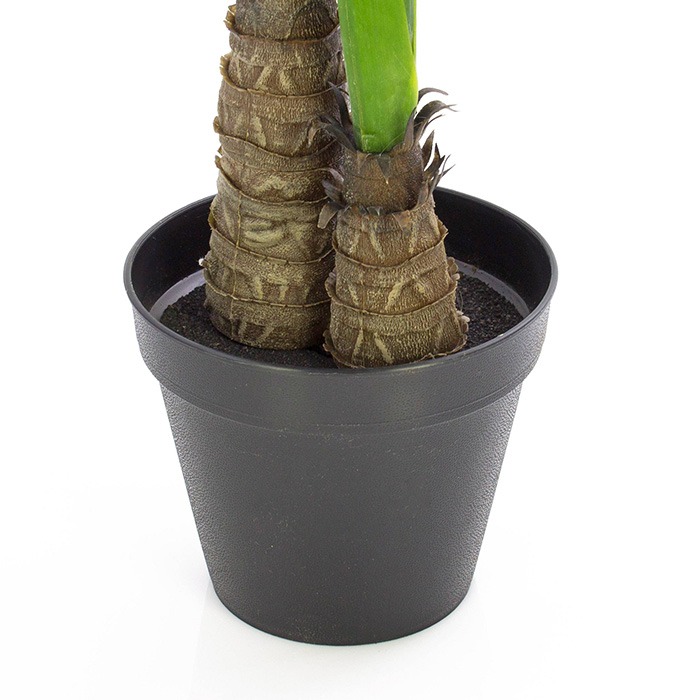 ve vnitřn&iacute;m květin&aacute;či