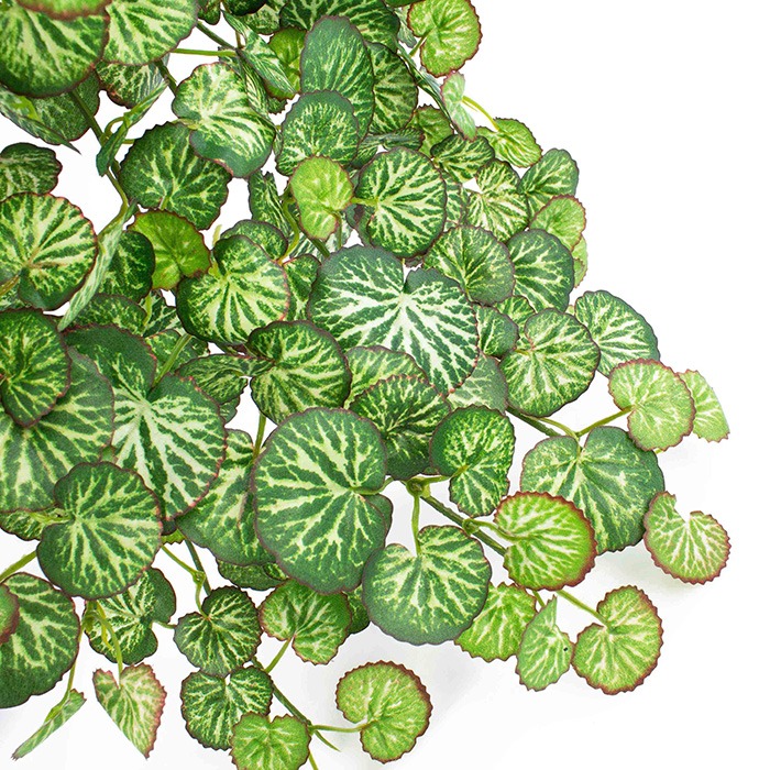 pestr&eacute; / dvoubarevn&eacute;