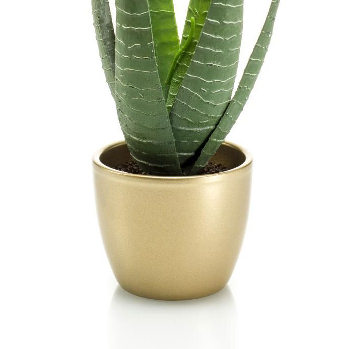 v květin&aacute;či