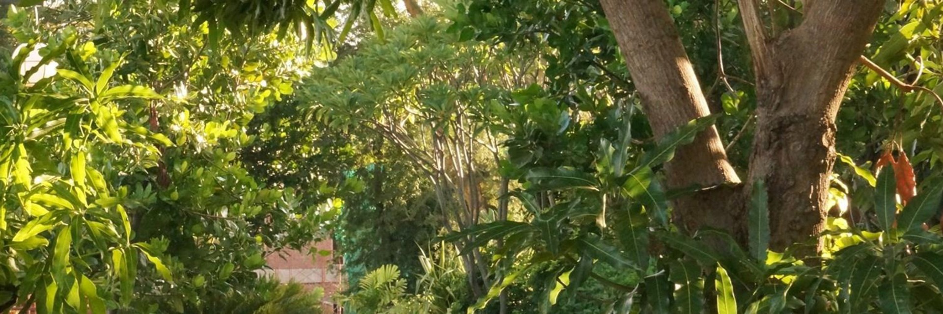 Umělé stromky jako opravdové