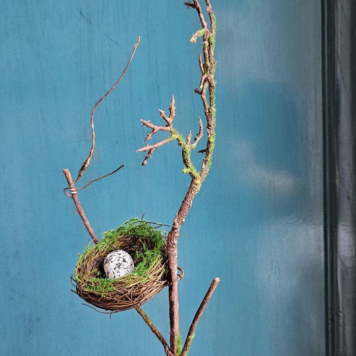 Rozptýlená dekorace / přírodní produkty