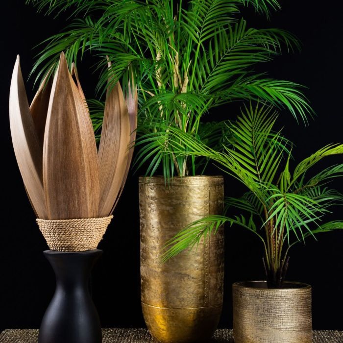 Rajsk&aacute; kr&aacute;sa