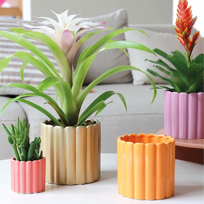 Květin&aacute;če podle barev