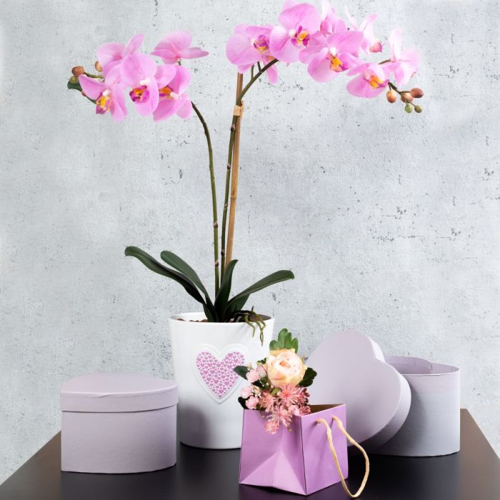 Překvapen&iacute; ke Dni matek