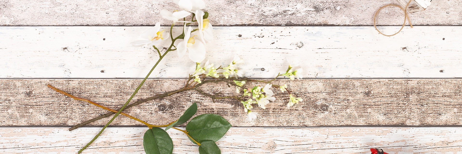 Kytice a aranžm&aacute; orchidej&iacute; na m&iacute;ru