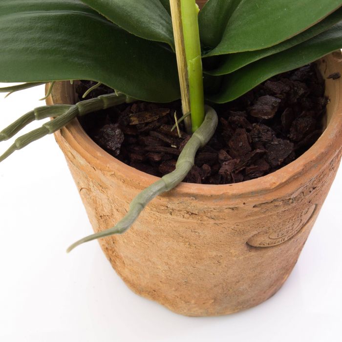 v květin&aacute;či