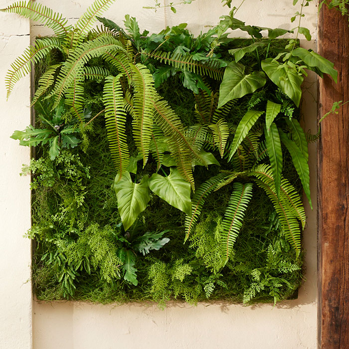 Zelen&eacute; stěny z uměl&yacute;ch rostlin