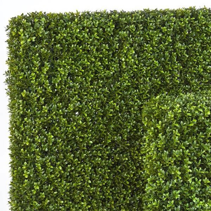 Živé ploty jako ochranná zástěna