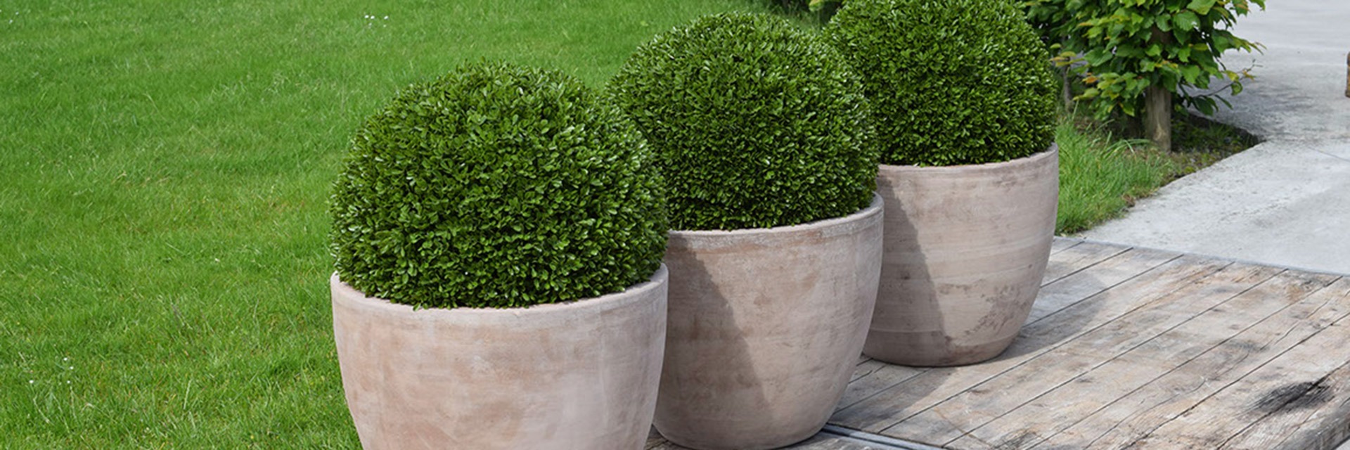 Všechny produkty pro ochranné zástěny