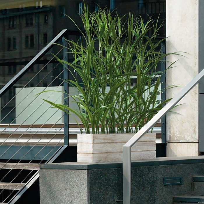 Rostliny pro ochranu soukromí