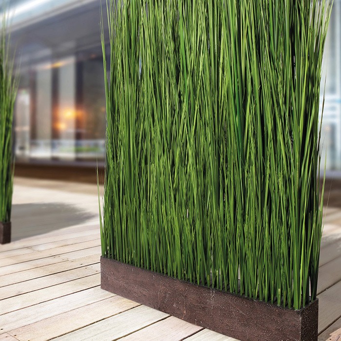 Rostliny pro ochranu soukrom&iacute;